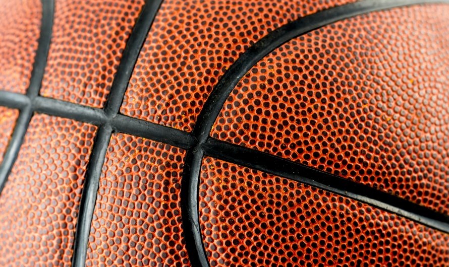 Basketball. Deux jeunes aindinois intègrent le Pôle Espoirs de Lyon pour la saison 2025/2026