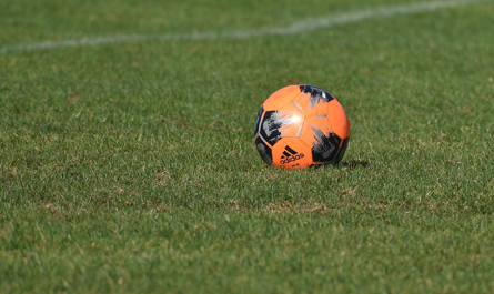 Le FBBP01 et l'AS Misérieux Trévoux sont fixé pour la suite de leur parcours en coupes (Christine Manin / Pixabay)