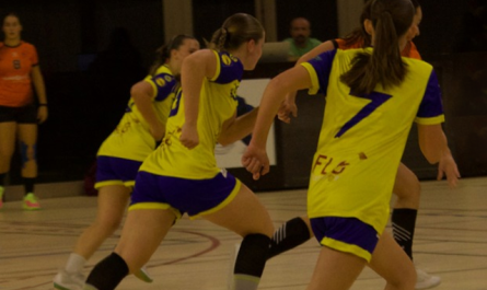Les féminines du HBC Ambérieu se qualifie au 3e tour de la Coupe de France régionale (Photo : HBCA Handball / Facebook)