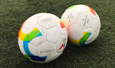 Ain'clusif organise un premier tournoi de cécifoot à Viriat (Photo : Cécifoot France)