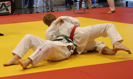 Les clubs de judo aindinois ont fait bonne figure lors des championnats AURA benjamin (Photo : Judo Club du Haut-Bugey / Facebook)